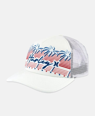 Hurley Cap